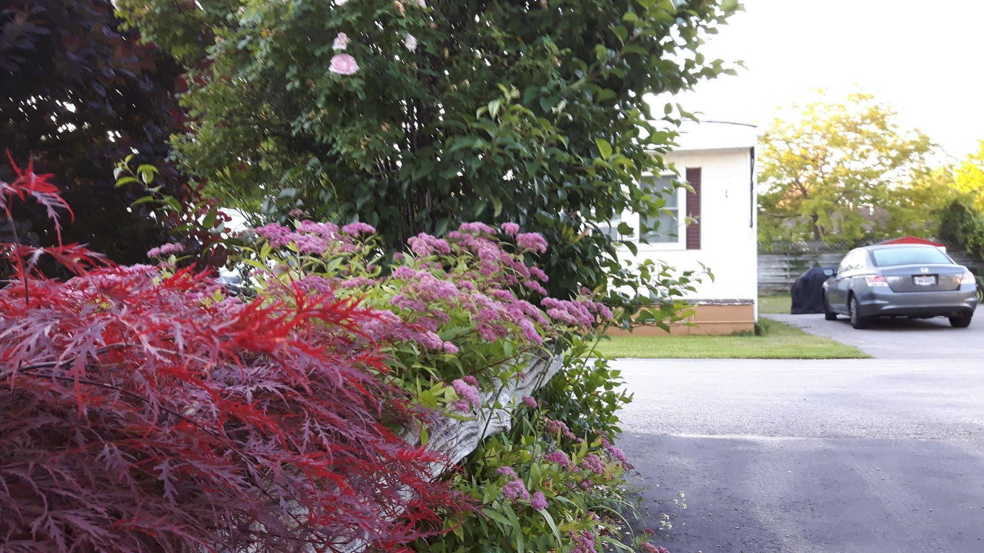 The Maplewood Motel Port Elgin Bagian luar foto